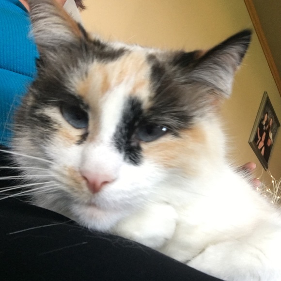 Meet your Posher, Nancy - Picture 1 of 1